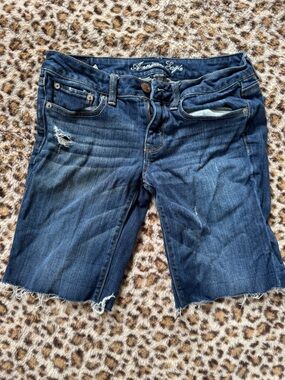 American Eagle Outfitters Dark Indigo Distressed Jean Shorts